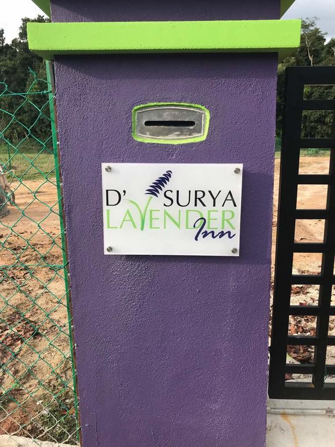 D' Surya Lavender Inn Pantai Cenang  Esterno foto